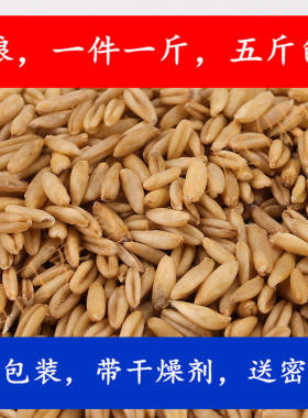 燕麦米闭门鸟粮新燕麦仁