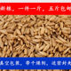 25年燕麦新燕麦仁野麦雀麦燕麦米鸟粮五斤 中型鹦鹉鸟粮500克 包邮