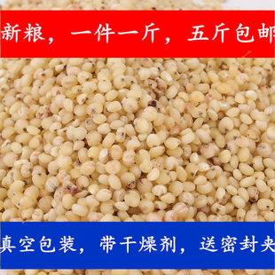 东北去皮白高粱五谷杂粮红高粱米鹦鹉鸟食鸟粮一斤价格五斤包邮