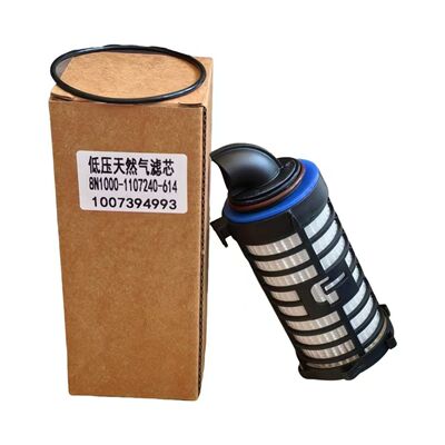 1007394993天然气滤芯N10001107240国六