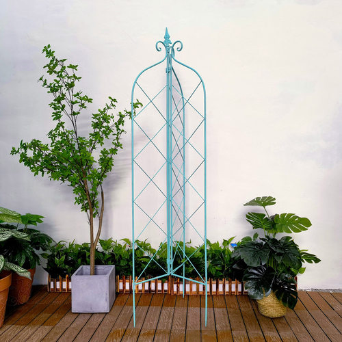 沐子哥庭院三面花园阳台爬藤架