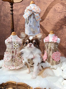 JOYCELELE22AW灰蓝小熊娃娃裙宠物连衣裙JLPETS