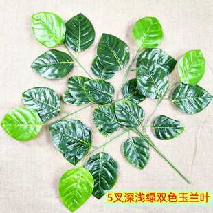 仿真核桃树叶假柿子叶假玉兰树枝工程绿化做树特大叶子餐厅绿叶子