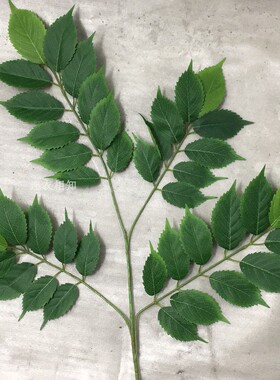 仿真桑树叶榆树叶 榕树叶假榆叶桑叶 工程绿植园林装饰树叶绿叶子