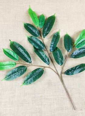 单支仿真榴莲叶假树叶塑料过胶装饰叶子室外户外园林装饰假芒果叶