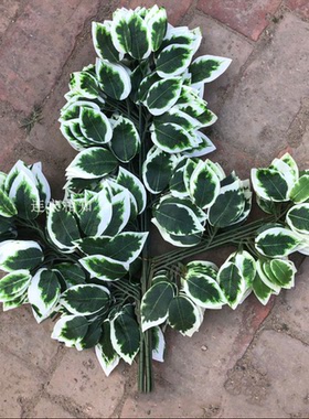 仿真榕树叶工程装饰假植物叶子塑料树枝绿叶树藤造型大树叶榕树枝