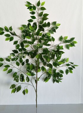仿真榕树叶大支树叶仿真树叶银杏叶桦树叶榆树叶工程园林树叶包邮
