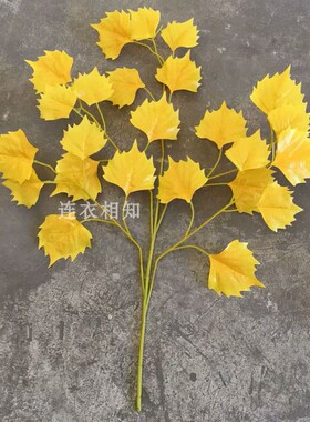 仿真胡杨叶树 塑料树枝 过胶杨树枝 工程做树 舞蹈道具 杨树叶