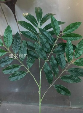 仿真桃树叶假桃子树枝园林景观柠檬树叶装饰布景绿化造景荔枝叶