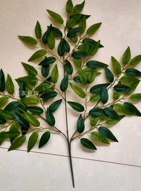 仿真树叶桃树叶法国榕树叶紫薇叶桃树叶假树枝插花树装饰绿植绿叶