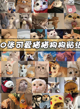 48张可爱猫猫狗狗贴纸不重复个性装扮创意防水涂鸦DIY贴画