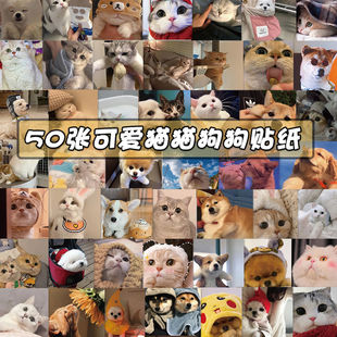 48张可爱猫猫狗狗贴纸不重复个性装扮创意防水涂鸦DIY贴画