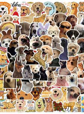 100张搞笑狗狗金毛狗涂鸦贴纸行李箱手机壳吉他滑板装饰可爱贴画