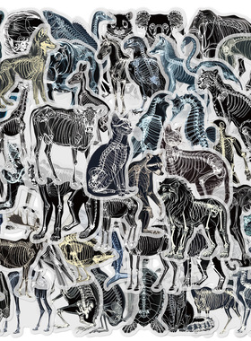 50张欧美黑白X光骨骼中世纪pet材质贴纸装饰防水行李箱手机壳贴画