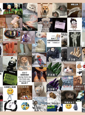 60张冬天的表情包贴纸搞笑学生玩具手机壳手账本iPad装饰diy贴画