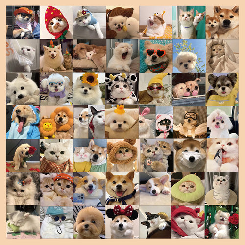 52张可爱猫和狗贴纸手账本贴画