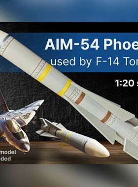 AIM-54导弹模型1:20-F14攻击机导弹模型仿真航模拼装摆件-3d打印