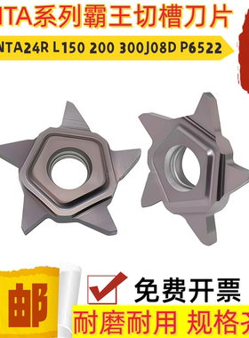 鼎工斜口8度霸王五角切槽刀片PENTA24R L150 200 300J08D P6522