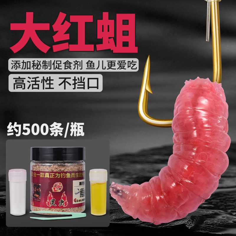 新鲜活红蛆虫脓腥钓鱼饵红蛆虫大号可钓石斑马口白条鲤鲫鱼溪哥