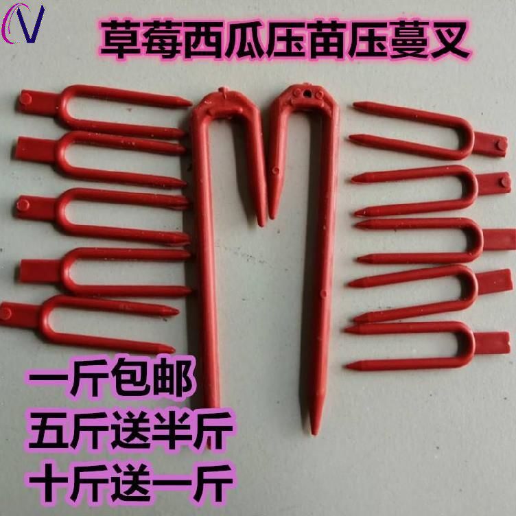 农用不伤藤瓜秧育苗压蔓器西瓜叉圆口加长草莓叉子耐用匍匐茎稳固在类目 鲜花速递/花卉仿真/绿植园艺, 园艺用品, 其它园艺用品中 - 来自Buy2taobao.com提供专业的淘宝代购服务