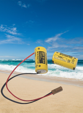 N8368-10116SP17（BR-2/3A），3V，1200mAh编号E5503-951-001