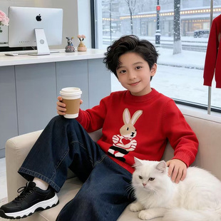 度度猫男童圆领毛衣2025秋冬装新款长袖打底上衣休闲百搭针织衫