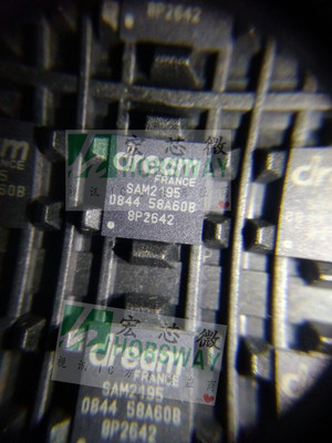 SAM214191集成功放块芯片升级版本SAM2695  现货货原装 优势热卖