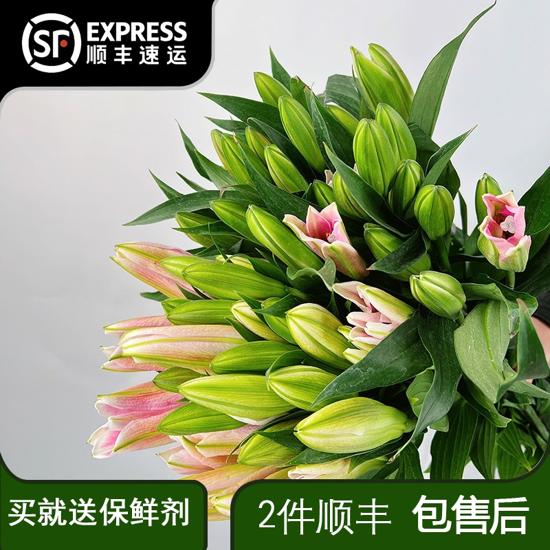 重瓣百合多头鲜花批发