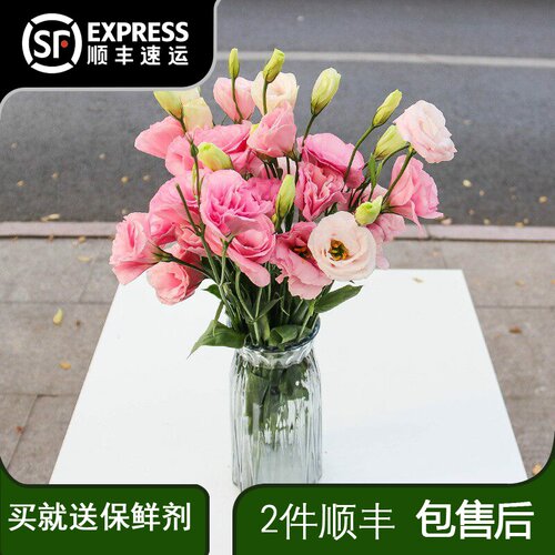 昆明洋桔梗鲜花基地直发云南