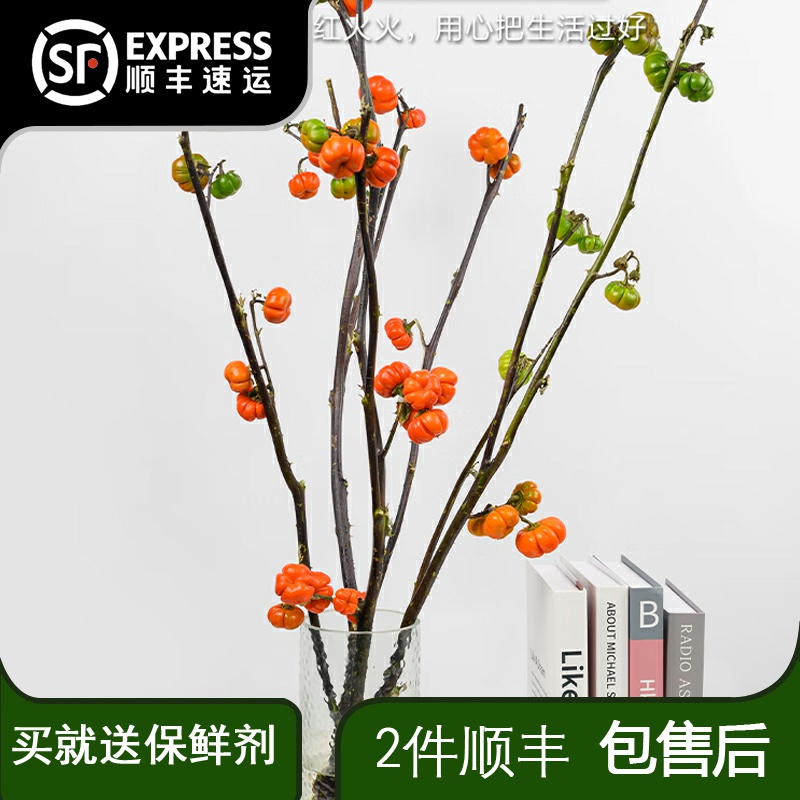 观赏小南瓜鲜花鲜切枝