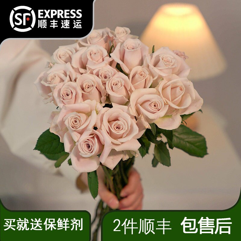 曼塔乌梅子酱稀有玫瑰花鲜花云南直发基地卡布奇诺鲜花鲜切花头小