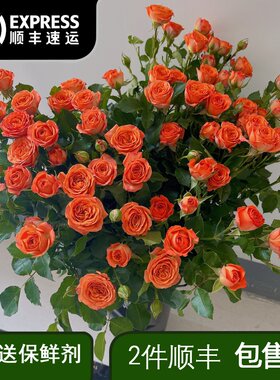 橘子汽水粉色系混搭花束