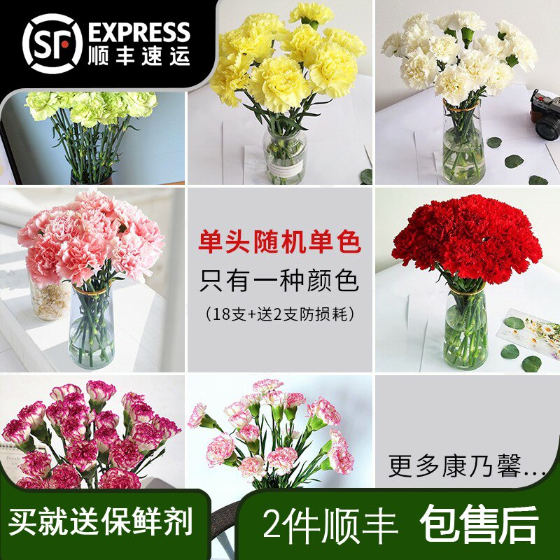 康乃馨云南批发送妈妈送老师长辈家养鲜切花速递家庭花瓶插花,鲜花速递/花卉仿真/绿植园艺,花材,淘宝优惠券,粉丝福利购,淘宝优惠卷