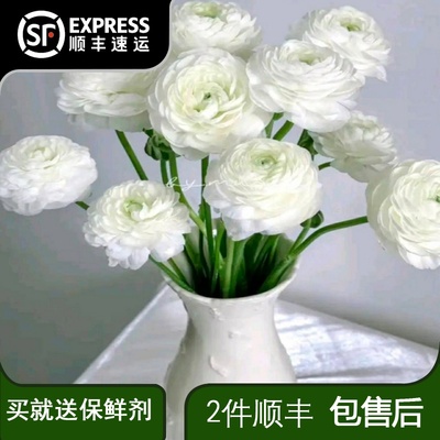 白色洋牡丹鲜花云南基地直发应季时令花材昆明批发年宵花花束