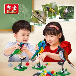 12岁经典 邦宝积木教育积木鸟 5123 儿童玩具5 益智高科玩具