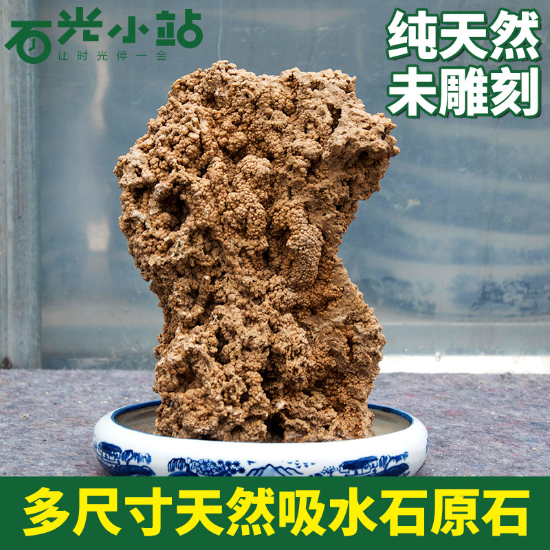 天然吸水石上水石原石假山石头盆景小型假山石毛石招财麦管石奇石