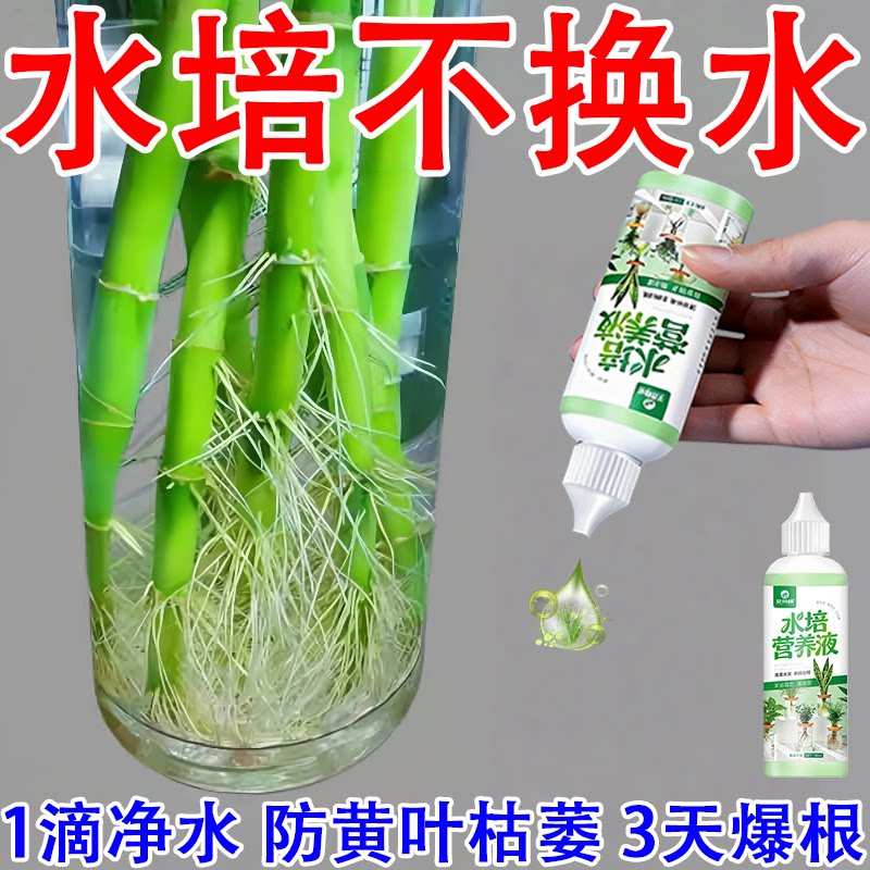 德国水培植物营养液通用花肥富贵竹发财树绿萝水培花卉养花正品肥