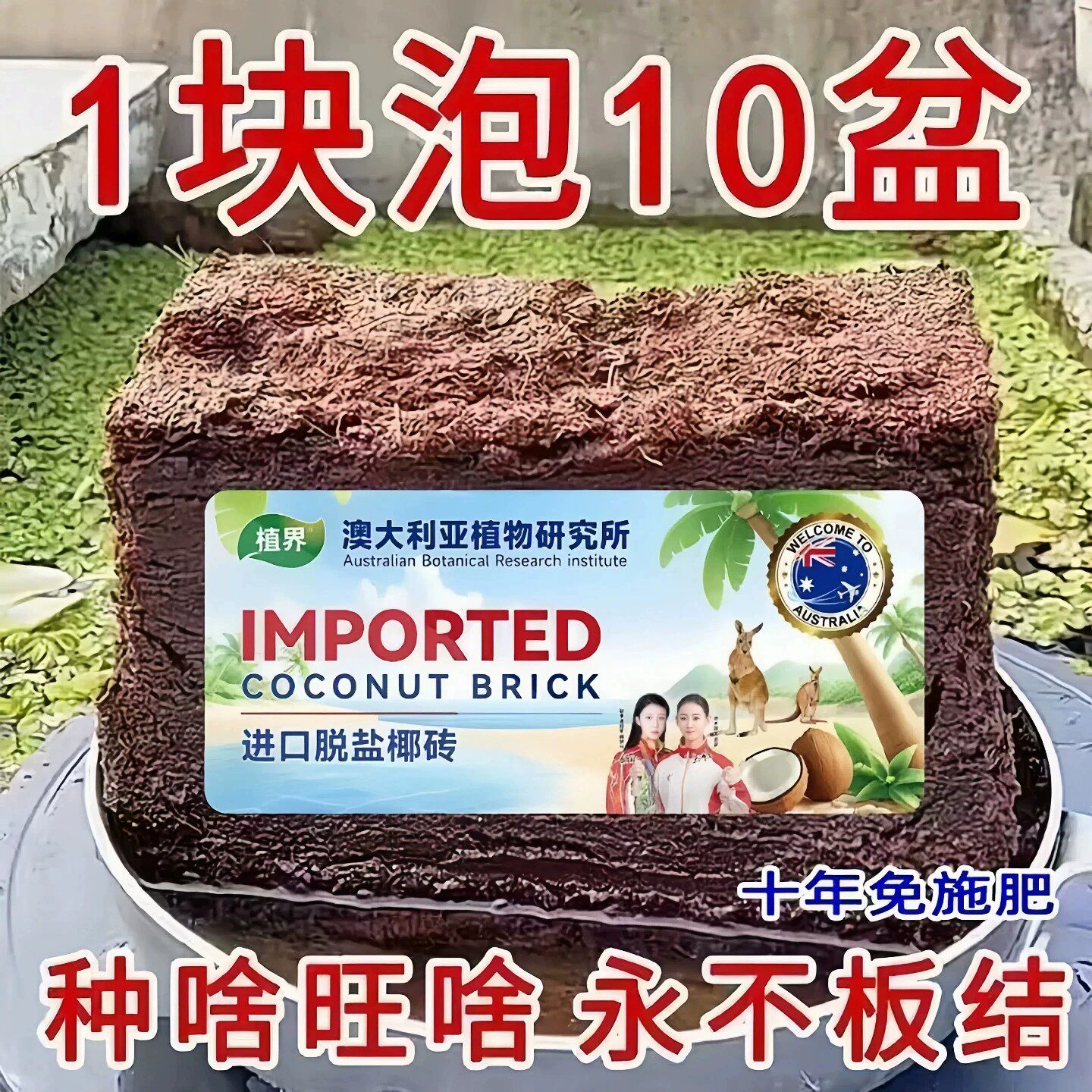 澳洲进口椰砖种菜通用阳台种植蔬菜养花压缩营养土椰砖植物通用型