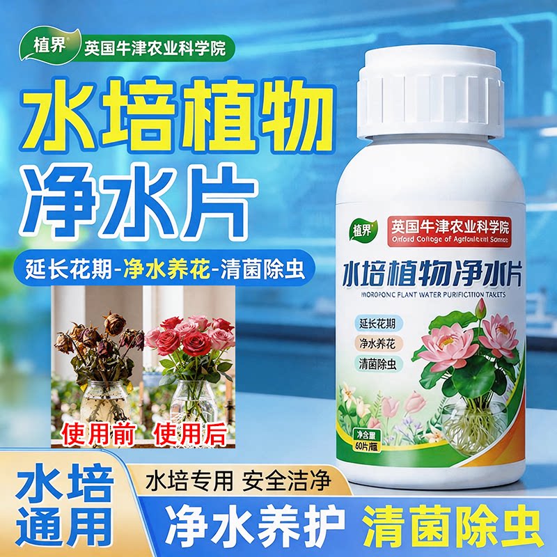 英国水培植物净水片除臭杀菌除虫鲜花花卉保鲜剂除藻专用净化水质
