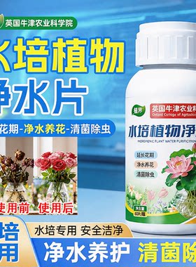 英国水培植物净水片除臭杀菌除虫鲜花花卉保鲜剂除藻专用净化水质