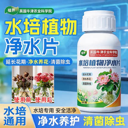 英国水培植物净水片除臭杀菌除虫鲜花花卉保鲜剂除藻专用净化水质