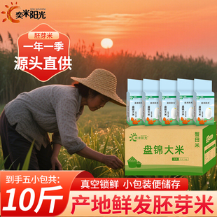 东北大米10斤胚芽米5kg盘锦蟹田米珍珠米2025年新米产地直发