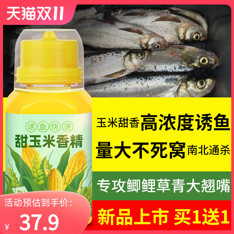 甜玉米小药钓鱼玉米香精专用鲫鱼草鱼翘嘴泡玉米诱鱼添加剂鱼饵料