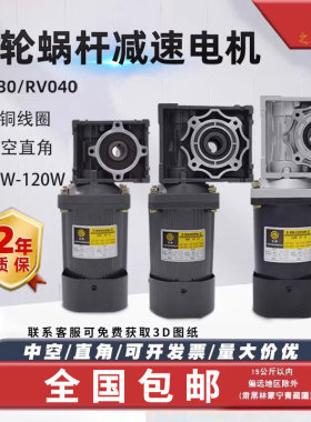 蜗轮蜗杆减速电机一体减速机60-250W带减速箱RV040/RV030变速马达