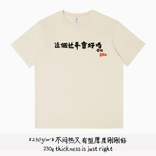 这个世界会好吗等通知 中文短袖t恤2025新款圆领日常百搭上衣服潮