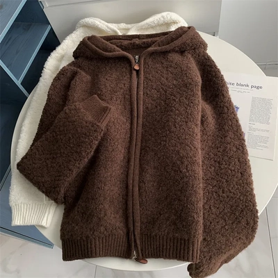 韩系高级感毛球球感拉链毛衣羊羔绒冬季宽松软糯保暖针织外套连帽