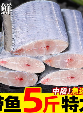 带鱼新鲜冷冻刀鱼中段特级大号东海小眼深海鱼鲜活海鲜冰鲜去头尾
