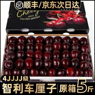 智利车厘子新鲜水果进口桑提娜礼盒装当季整箱孕妇樱桃3j4j5j包邮