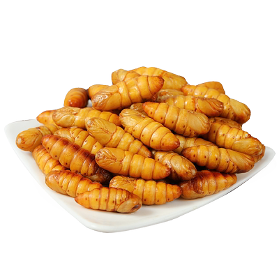 超高品质金丝蚕蛹当季新货