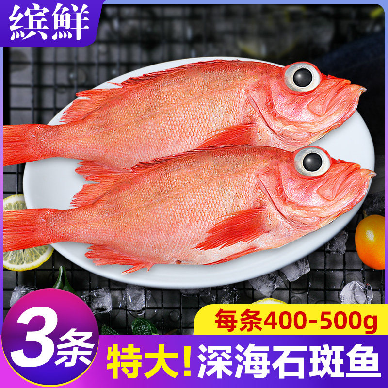 红石斑鱼鲜活冷冻海鱼大鱼新鲜超大条红鱼龙胆富贵鱼海鲜水产包邮